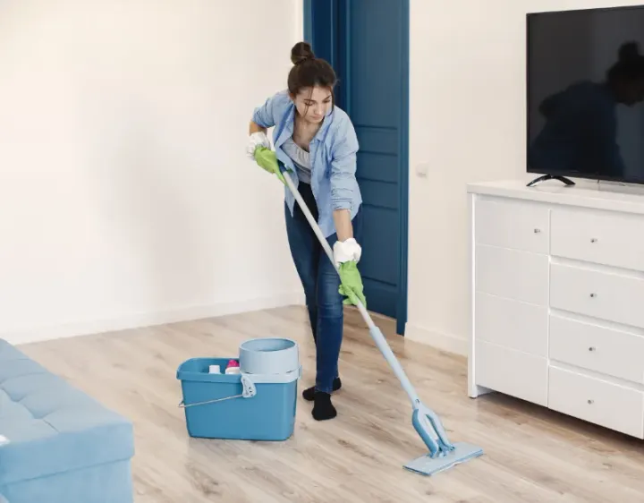 Femme de ménage Waldwisse